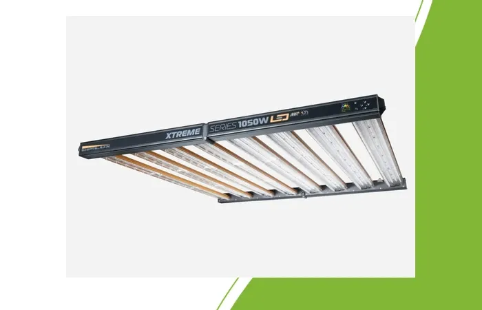 DimLux Xtreme Series MKII 1050W + NIR