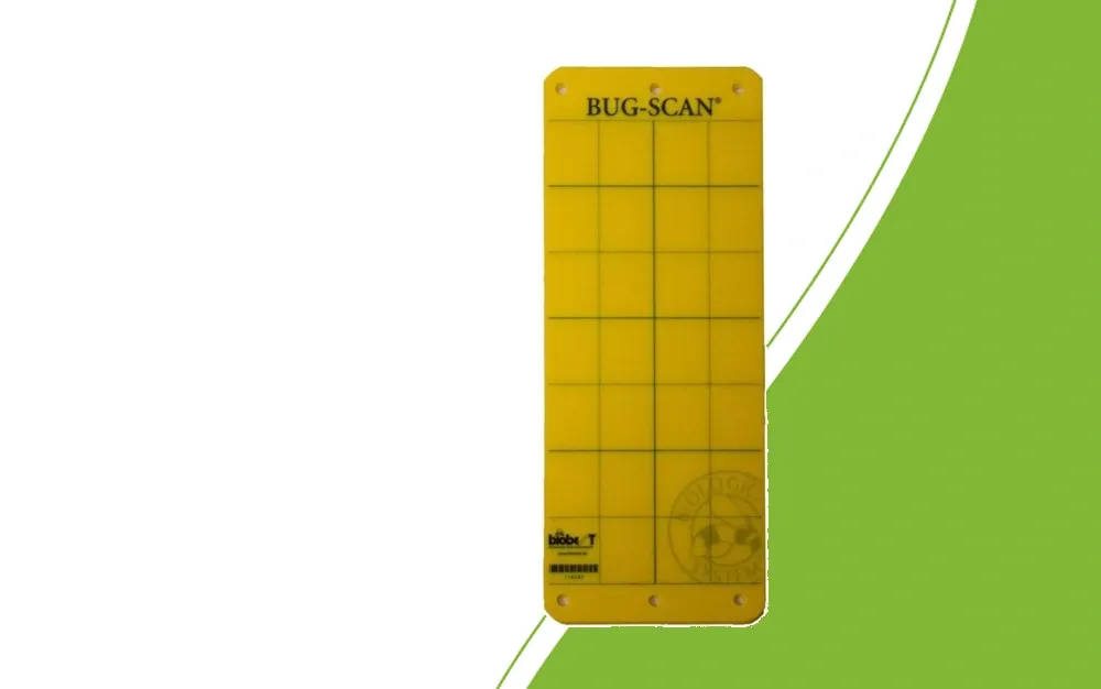 Yellow sticky trap with a grid for insect monitoring