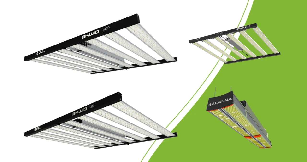 Four OCL LED models: Skwid 1560 PRO, Skwid 1900 PRO, Skwid ECO and Balaena