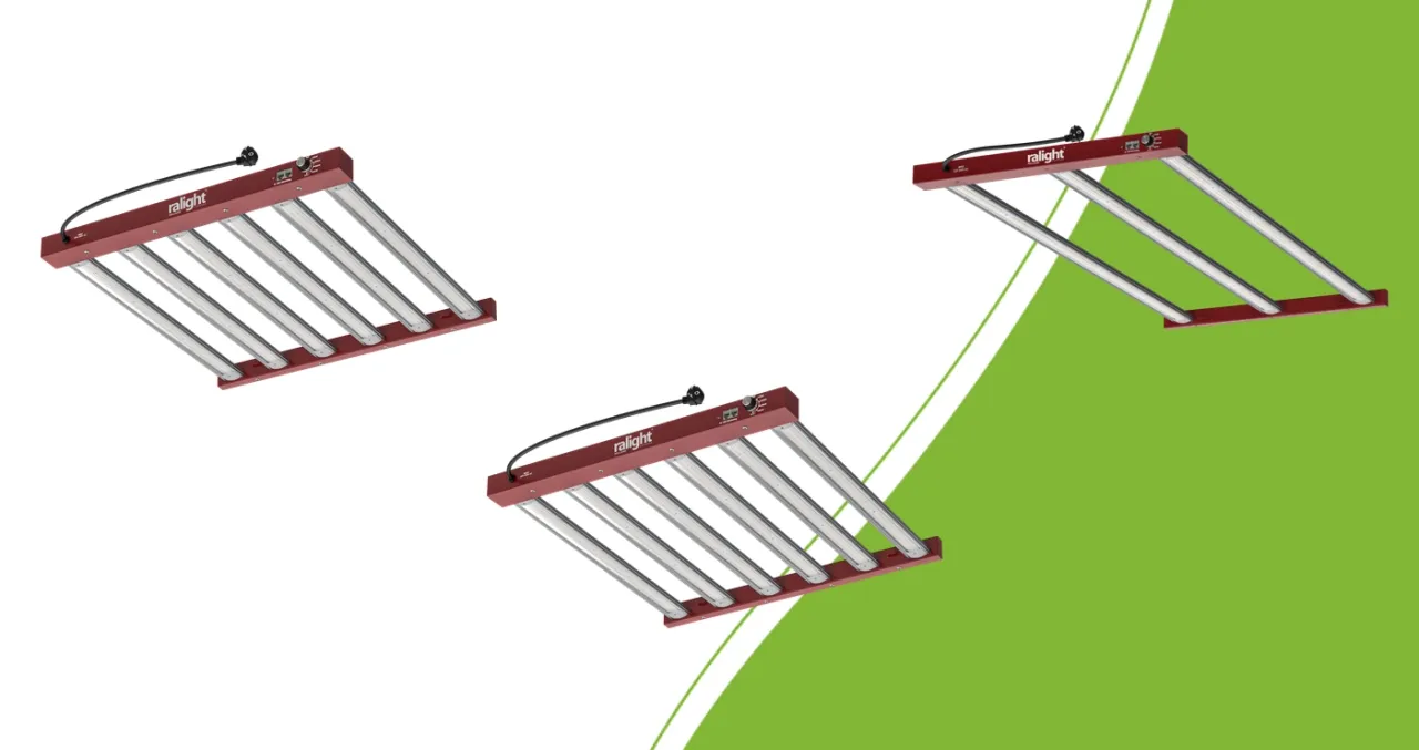 The three Ralight 360W LED versions with six, six and three light bars