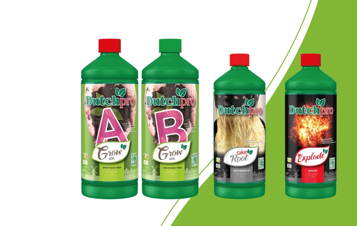 Dutch Pro Soil Grow A and B, Take Root and Explode