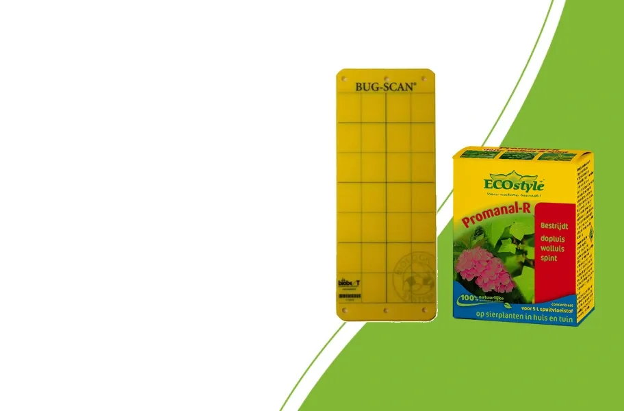 Yellow BUG-SCAN sticky trap and ECOstyle Promanal-R concentrate: two different pest control formats