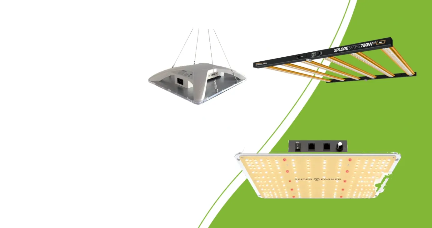 LED grow lights: DimLux Xplore CompactLine 100W, Xplore 730W 3.0 and Spider Farmer SF-1000