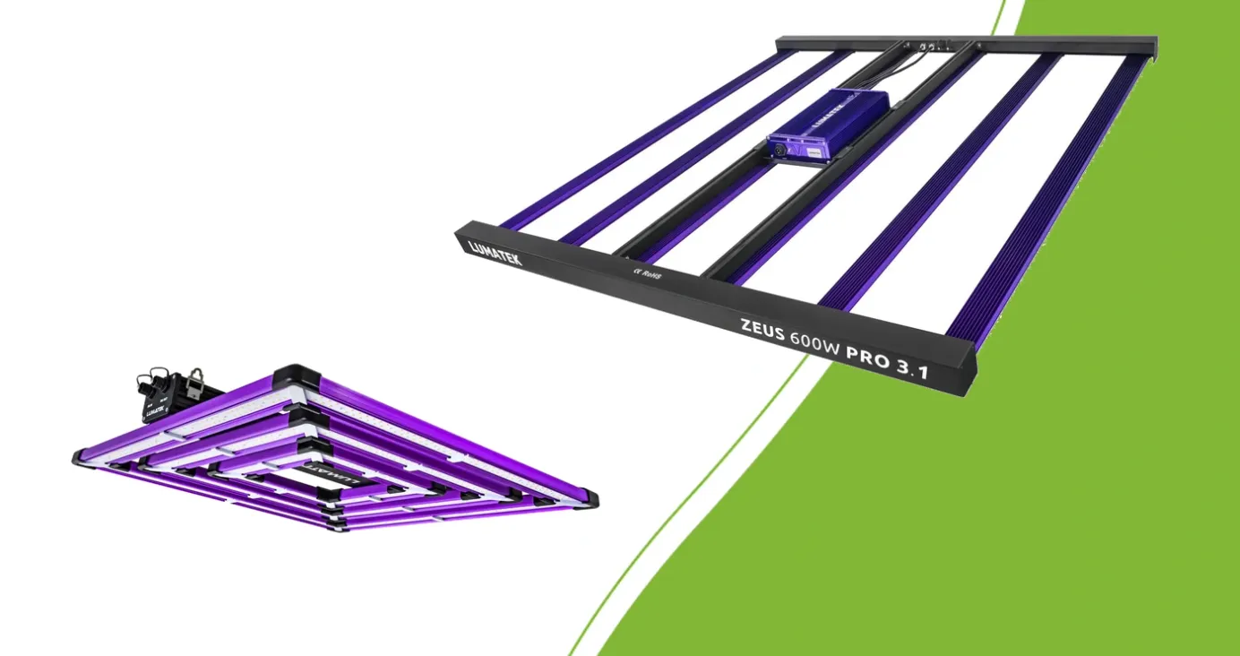 Lumatek Attis 300W PRO and ZEUS 600W PRO 3.1 LED fixtures