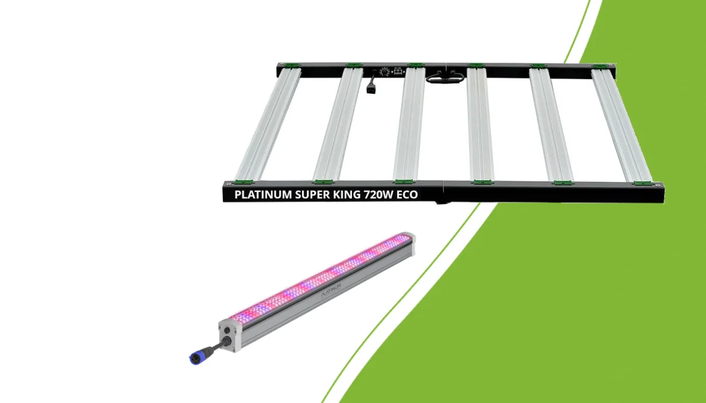 Platinum Super King 720W ECO and Under Canopy 150W for two separate lighting roles