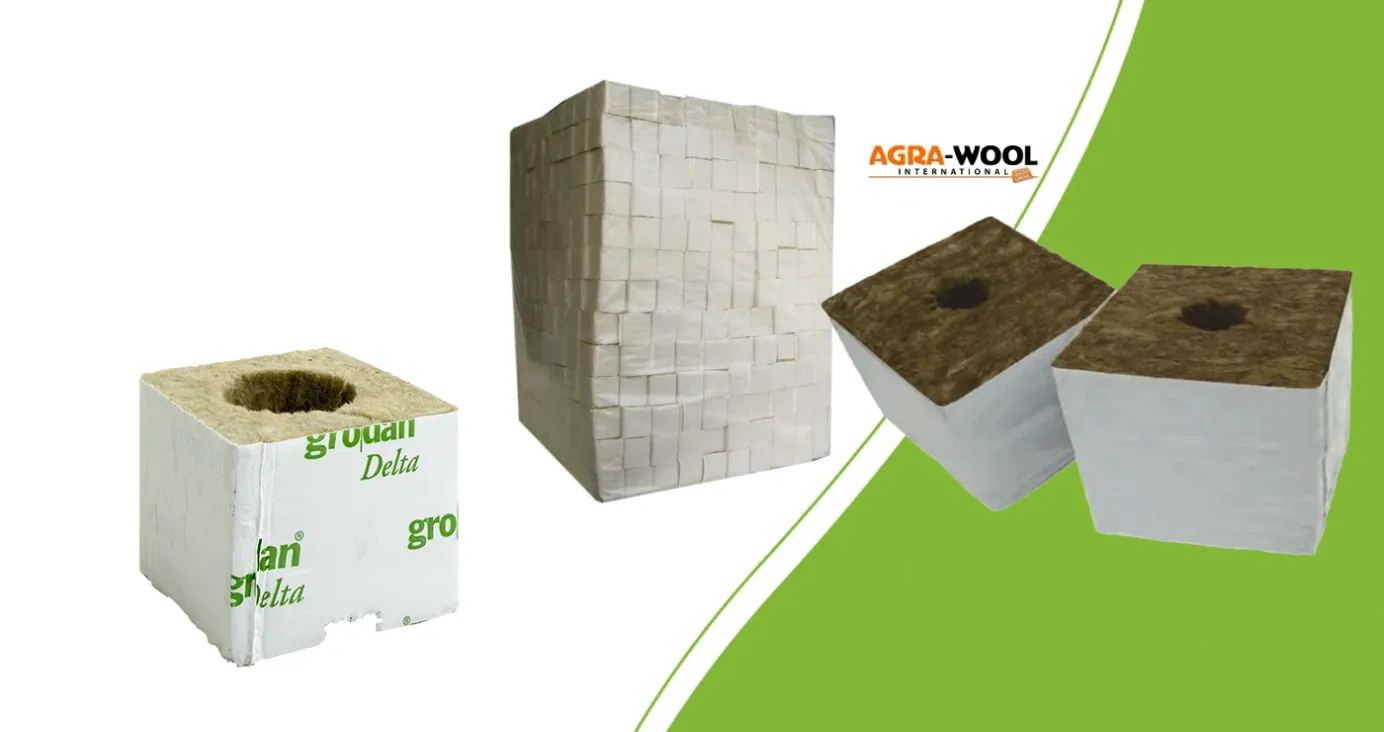 Grodan starter block, 4 cm unbranded cubes and Agra Wool starter blocks with planting holes