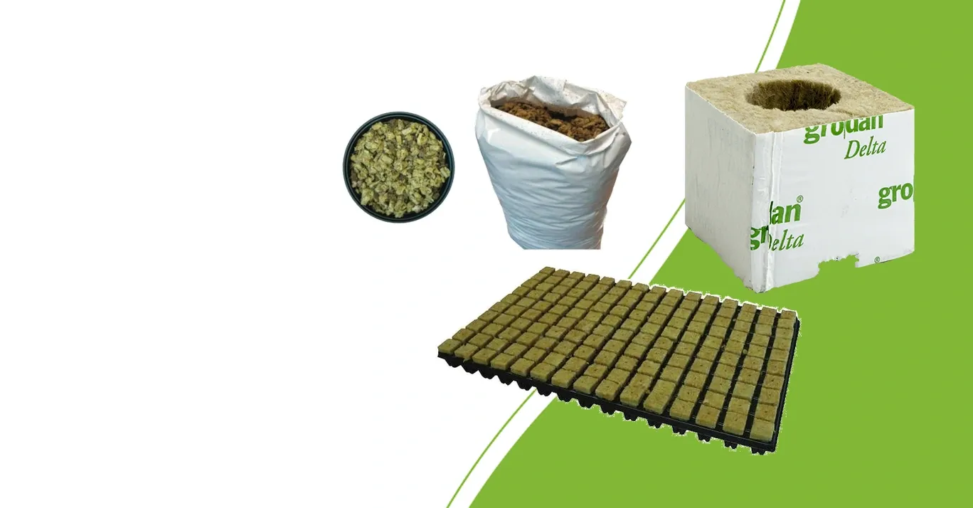 Grodan SBS plug tray, Grodan starter block and Cultilene Mapito showing three forms of rockwool growing media