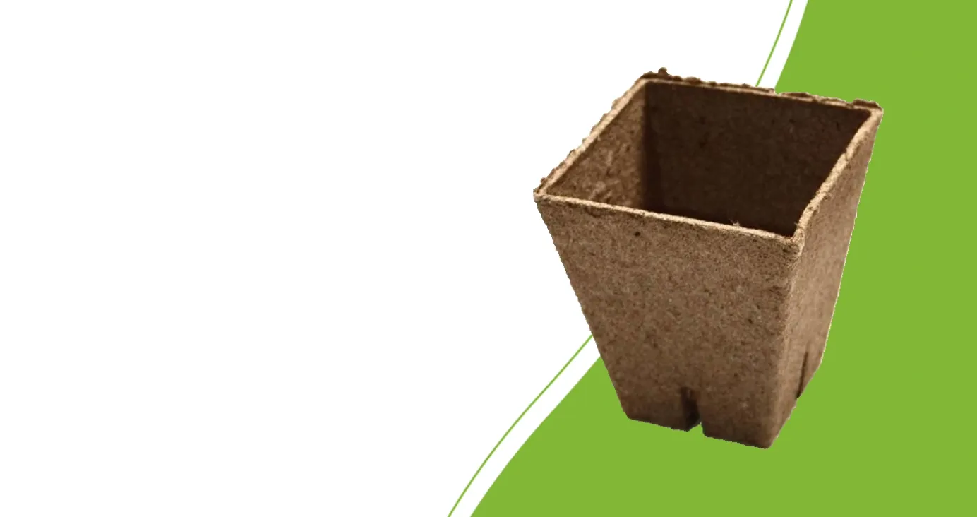 Square Jiffy peat pot measuring 8 × 8 × 8 cm, made from peat and wood pulp