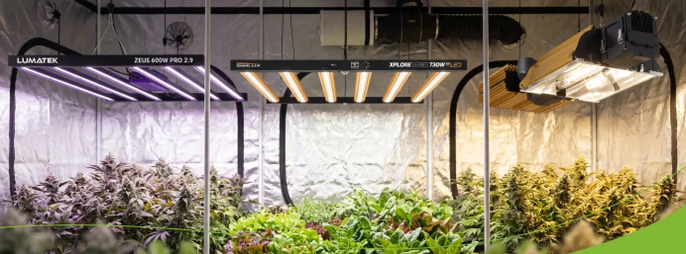 LED and HPS lighting above plants