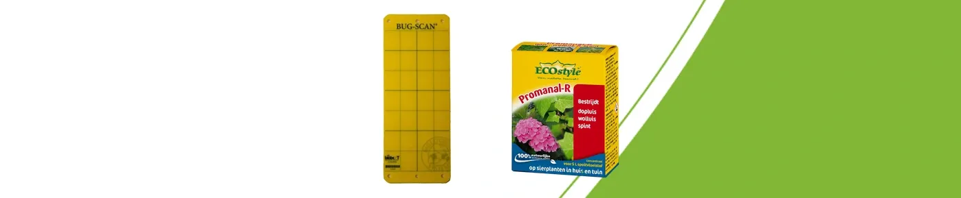 Yellow BUG-SCAN sticky trap and ECOstyle Promanal-R concentrate: two different pest control formats