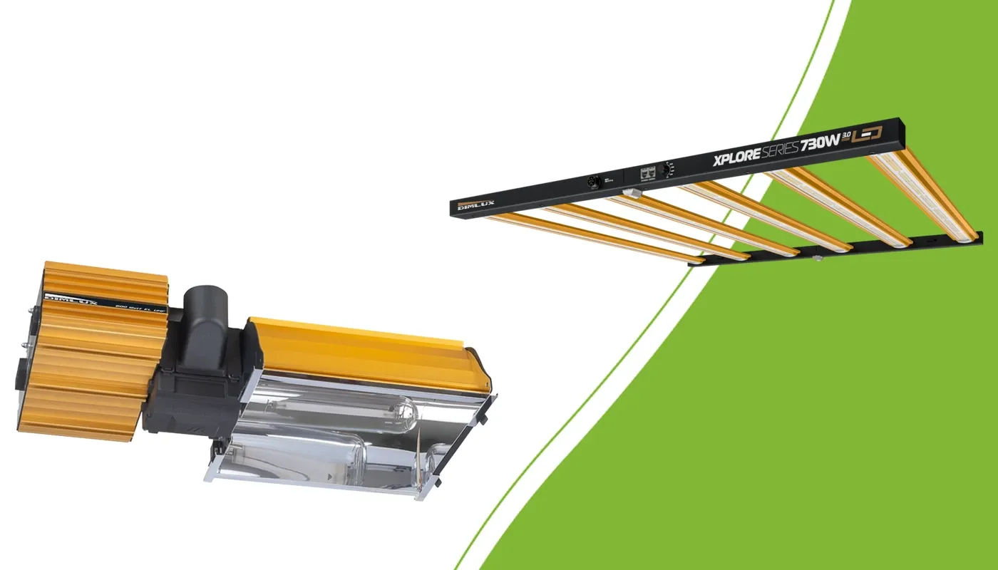DimLux HPS and Xplore LED fixtures side by side