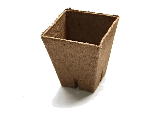 Square Jiffy peat pot measuring 8 × 8 × 8 cm