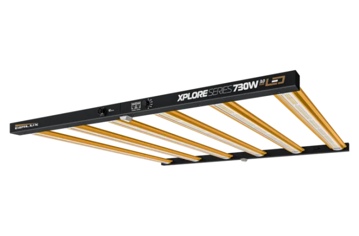 DimLux Xplore 730W LED fixture